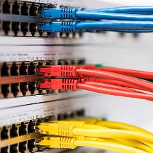 Closeup of colored computer network cables connected to a switch